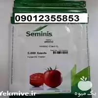 قیمت خرید بذر گوجه فرنگی بریویو در زاهدان در گروه خرید و فروش بذر گوجه در یکمیوه