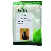 قیمت خرید بذر بادمجان لامپی آرلن در شیراز در گروه خرید و فروش بذر بادمجان در یکمیوه