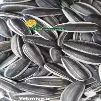 فروش انواع تخمه دورسفید و تخمه آفتابگردان در ساری در گروه خرید و فروش انواع تخمه در یکمیوه