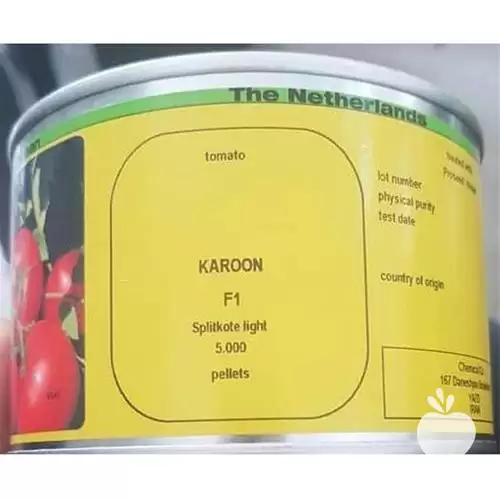 فروش توزیع بذر گوجه هیبرید کارون در تهران در گروه خرید و فروش بذر گوجه در یکمیوه -عکس1