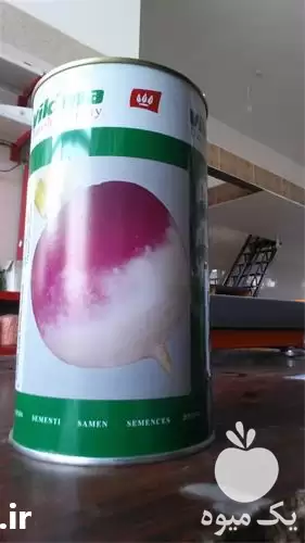 قیمت خرید بذر شلغم دو رنگ در گروه خرید و فروش شلغم در یکمیوه -عکس1