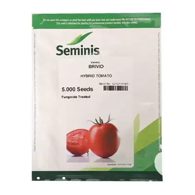 قیمت خرید عرضه بذر گوجه فرنگی در شیراز در گروه خرید و فروش بذر گوجه در یکمیوه -عکس1