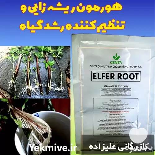 قیمت خرید هورمون ریشه زایی الفر در گروه خرید و فروش انواع بذر در یکمیوه -عکس1