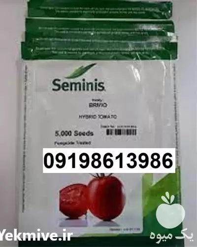 فروش بذر گوجه فرنگی باسیمو در گروه خرید و فروش بذر گوجه در یکمیوه -عکس1