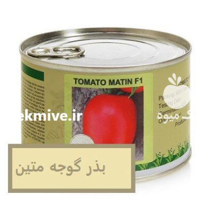 بذر گوجه هیبرید متین دانمارک اورجینال در اهواز در گروه خرید و فروش بذر گوجه در یکمیوه -عکس1