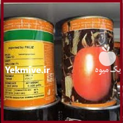 فروش بذر گوجه فرنگی مالکوم کولوسئوم در اهواز در گروه خرید و فروش بذر گوجه در یکمیوه -عکس1