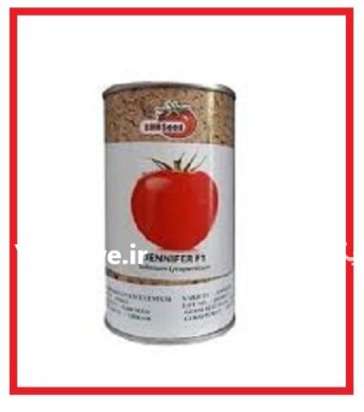 فروش بذر گوجه جنیفر JENNIFER BHN در گروه خرید و فروش بذر گوجه در یکمیوه -عکس1