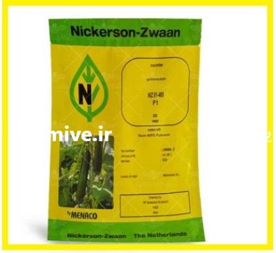 بذر خیار گلخانه ای هیبرید نیکرسون در اهواز در گروه خرید و فروش بذر خیار در یکمیوه -عکس1