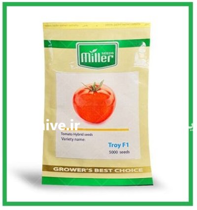 فروش بذر گوجه فرنگی Troy میللر در اهواز در گروه خرید و فروش بذر گوجه در یکمیوه -عکس1