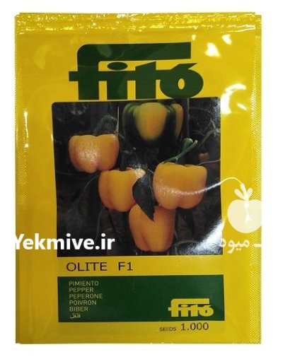 فروش بذر فلفل دلمه ای گلخانه در اهواز در گروه خرید و فروش بذر فلفل در یکمیوه -عکس1