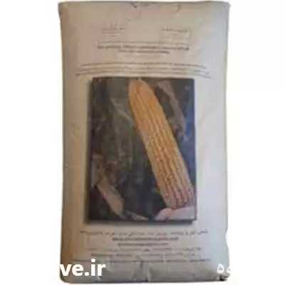 قیمت خرید بذر ذرت 704 در گروه خرید و فروش بذر ذرت در یکمیوه -عکس1