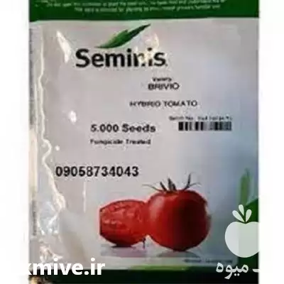 قیمت خرید بذر گوجه فرنگی بدرو در اصفهان در گروه خرید و فروش بذر گوجه در یکمیوه -عکس1