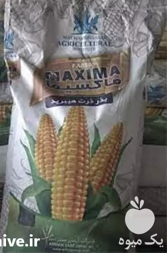 قیمت خرید پخش ذرت ماکسیما دندان در گروه خرید و فروش بذر ذرت در یکمیوه -عکس1