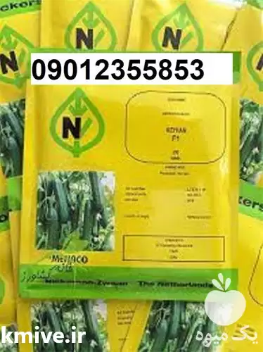 فروش بذر خیار کیهان مناسب فصل در گروه خرید و فروش بذر خیار در یکمیوه -عکس1