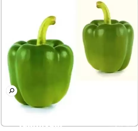 فروش بذر فلفل دلمه و یزارد در ارومیه در گروه خرید و فروش فلفل در یکمیوه -عکس1