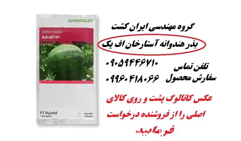 قیمت خرید بذر هندوانه خطی آستاراخان در اهواز در گروه خرید و فروش بذر هندوانه در یکمیوه -عکس1