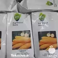قیمت خرید بذر ذرت میامی در همدان در گروه خرید و فروش بذر ذرت در یکمیوه