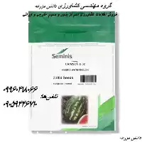 فروش بذر هندوانه بی 32 در زاهدان در گروه خرید و فروش بذر هندوانه در یکمیوه