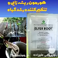 قیمت خرید هورمون ریشه زایی الفر در گروه خرید و فروش انواع بذر در یکمیوه