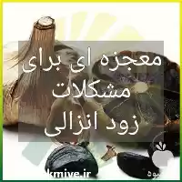 فروش سیر سیاه ارگانیک در سمنان در گروه خرید و فروش سیر در یکمیوه