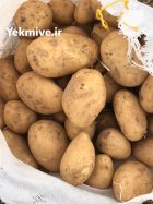 فروش سیب زمینی خوراکی دوناتا در گروه خرید و فروش سیب زمینی در یکمیوه