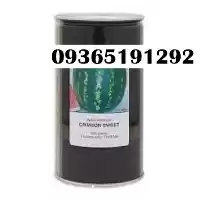 فروش بذر هندوانه کانیون در گروه خرید و فروش بذر هندوانه در یکمیوه