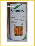 بذر هویج فورتو سمینیس بذر هویج در گروه خرید و فروش بذر هویج در یکمیوه