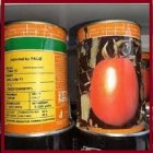 فروش بذر گوجه فرنگی مالکوم کولوسئوم در اهواز در گروه خرید و فروش بذر گوجه در یکمیوه