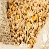 فروش کنسانتره بزغاله در اصفهان در گروه گاو و گوسفند و میش و بز کهره گوساله در یکمیوه