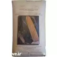 قیمت خرید بذر ذرت 704 در گروه خرید و فروش بذر ذرت در یکمیوه