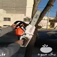 قیمت خرید اره موتوری در گروه خرید و فروش اره برقی در یکمیوه