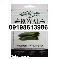 فروش بذر خیار رویال در مشهد در گروه خرید و فروش بذر خیار در یکمیوه