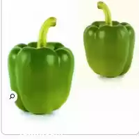 فروش بذر فلفل دلمه و یزارد در ارومیه در گروه خرید و فروش فلفل در یکمیوه