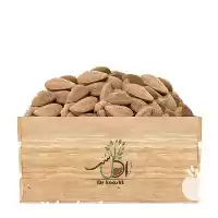 قیمت خرید عمده نهال بادام تونو در ارومیه در گروه خرید و فروش نهال بادام در یکمیوه