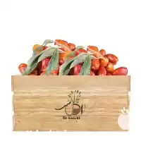 قیمت خرید عمده نهال سنجد قزل در اصفهان در گروه خرید و فروش نهال در یکمیوه