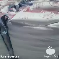 قیمت خرید جوش شیرین در شیراز در گروه خوراک دام و طیور در یکمیوه