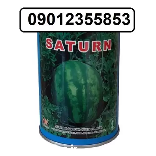 خرید بذر هندوانه میکادو در گروه خرید و فروش بذر هندوانه در یکمیوه -عکس1