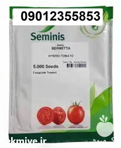 قیمت خرید بذر گوجه فرنگی برنتا در اصفهان در گروه خرید و فروش بذر گوجه در یکمیوه -عکس1