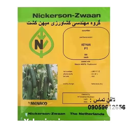 قیمت خرید بذر خیار گلخانه ای در اصفهان در گروه خرید و فروش بذر خیار در یکمیوه -عکس1