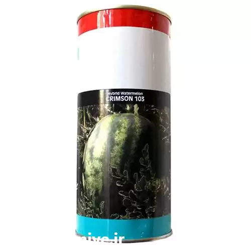 فروش عرضه بذر هندوانه ارگون در کرمان  در گروه خرید و فروش بذر هندوانه در یکمیوه -عکس1