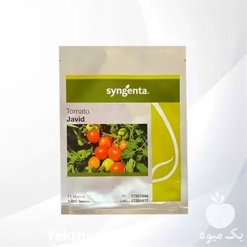 عرضه و فروش بذر گوجه جاوید در گروه خرید و فروش بذر گوجه در یکمیوه -عکس1