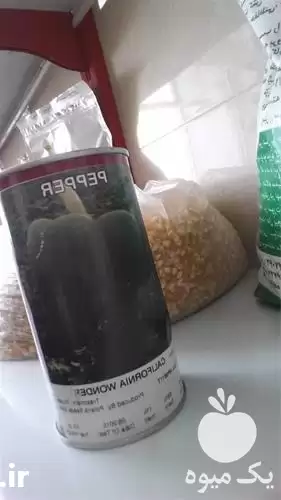 قیمت خرید بذر فلفل سبز شیرین در گروه خرید و فروش فلفل در یکمیوه -عکس1