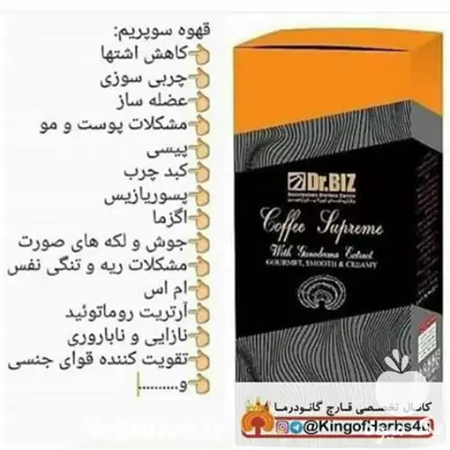 فروش قارچ گانودرما در گروه خرید و فروش قارچ در یکمیوه -عکس1