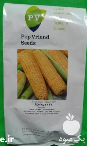 فروش بذر ذرت رویال تی شیرین در اردبیل در گروه خرید و فروش بذر ذرت در یکمیوه -عکس1