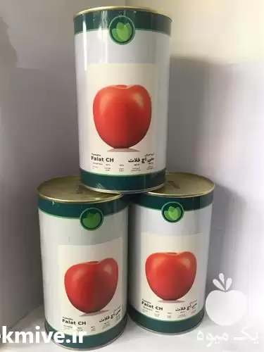 فروش بذر گوجه سی اچ فلات در رشت در گروه خرید و فروش بذر گوجه در یکمیوه -عکس1