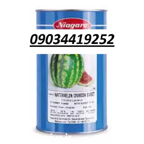 فروش هندوانه هولار در یزد در گروه خرید و فروش هندوانه در یکمیوه -عکس1