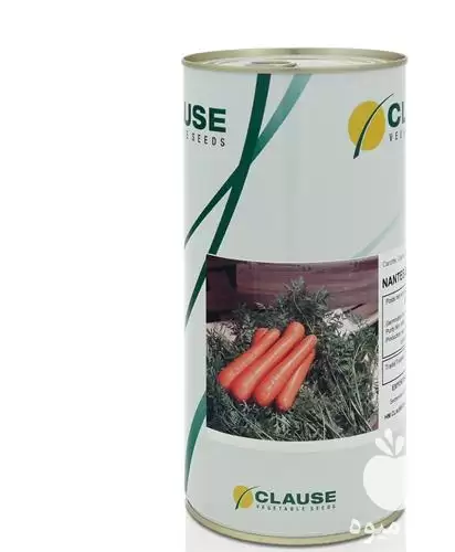 قیمت خرید سنتورین کلوز بذر هویج در تهران در گروه خرید و فروش بذر هویج در یکمیوه -عکس1