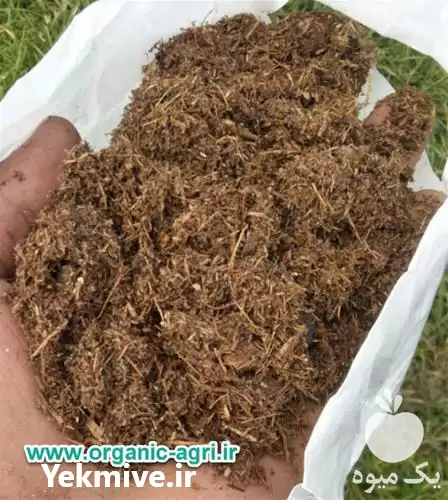 فروش بستر کشت نشاء در شیراز در گروه خرید و فروش نشا در یکمیوه -عکس1