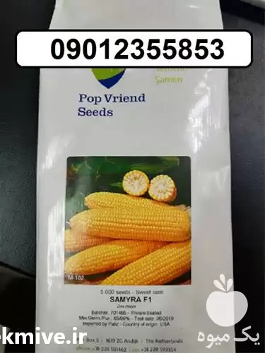 قیمت خرید بذر ذرت سمیرا در یزد در گروه خرید و فروش بذر ذرت در یکمیوه -عکس1