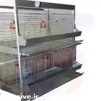قیمت خرید قفس مرغ تخمگذار در مشهد در گروه تجهیزات مرغداری در یکمیوه